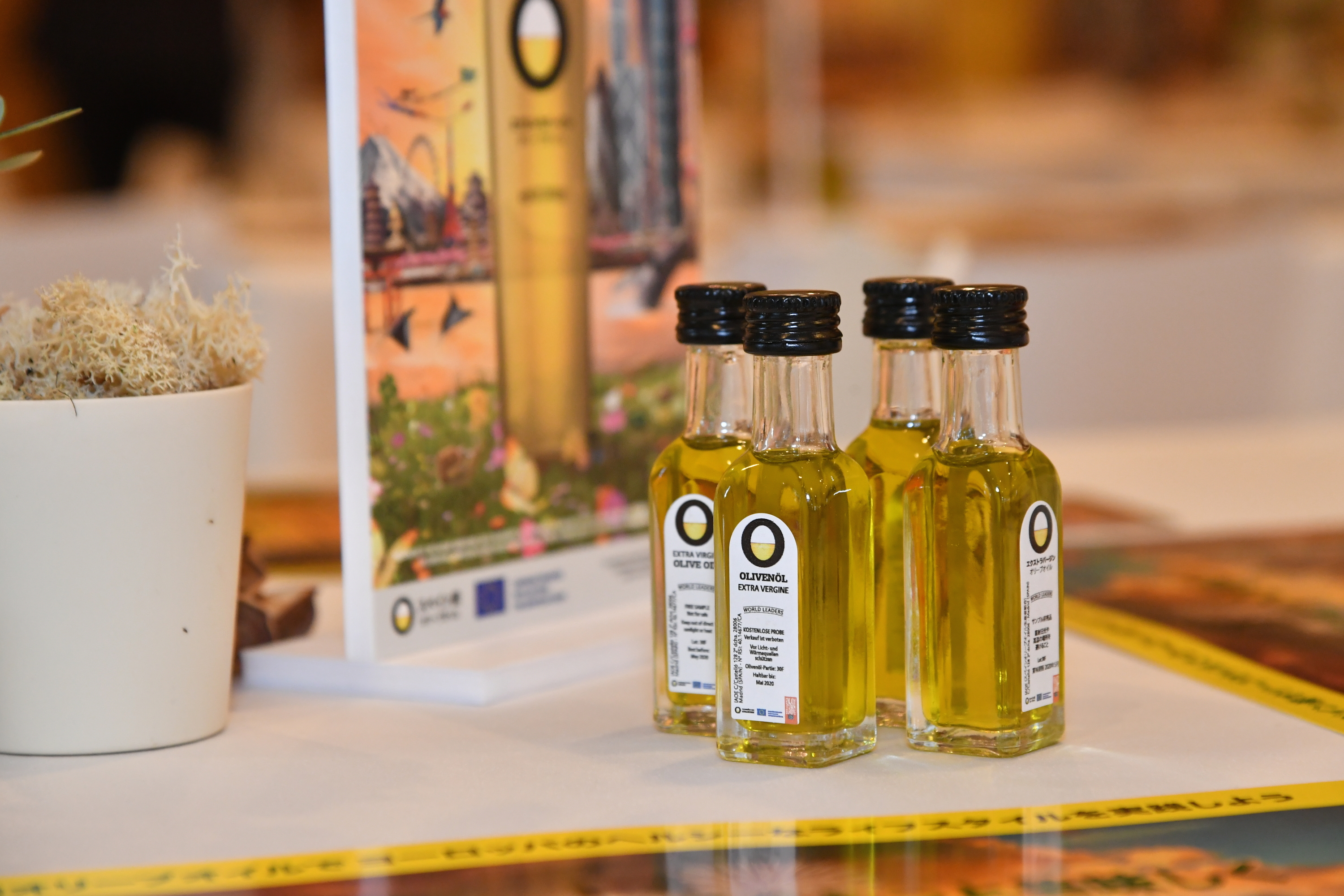 olive oil world tour